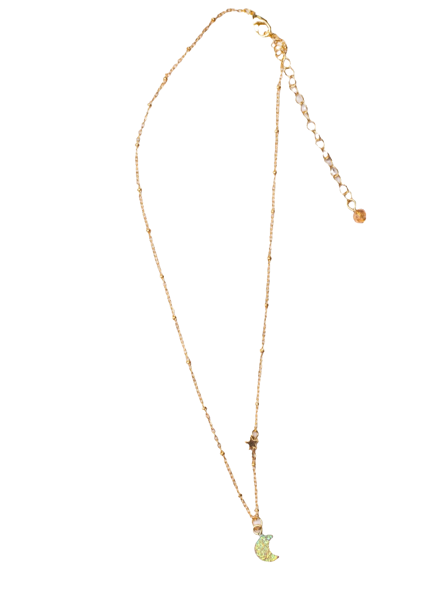Talking to the Moon Necklace