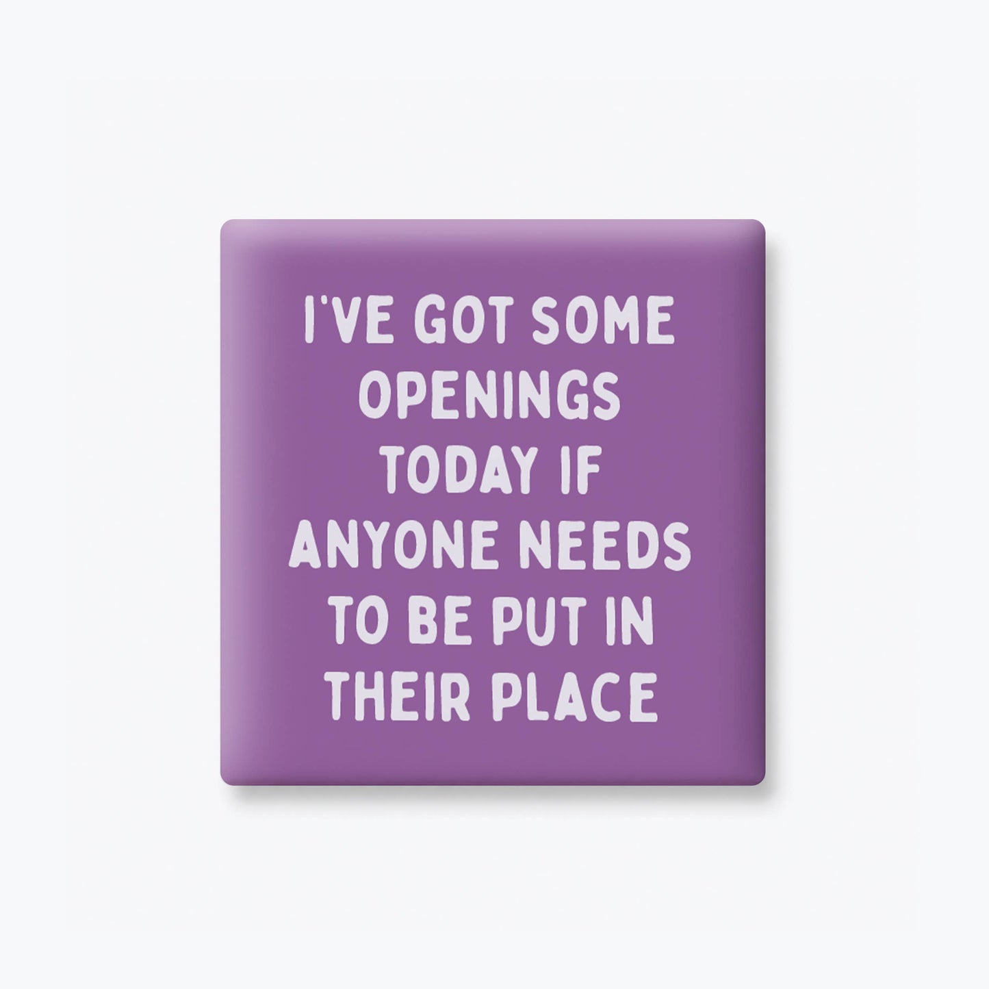 Funny Quote Magnets, Adult Humor - Put In Your Place