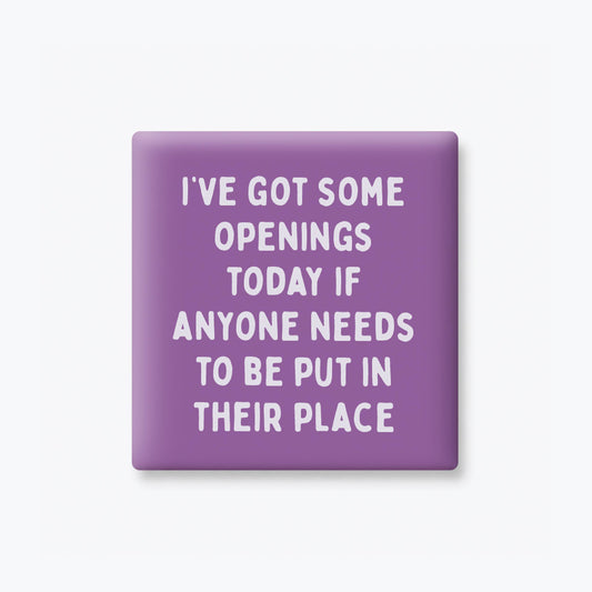 Funny Quote Magnets, Adult Humor - Put In Your Place