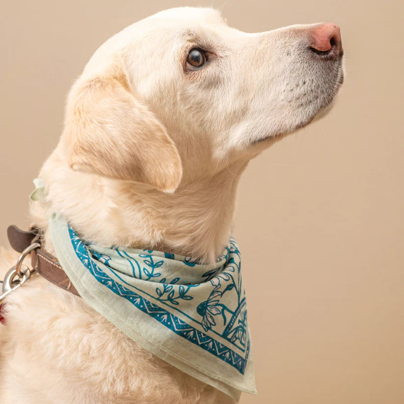 Bandanas
