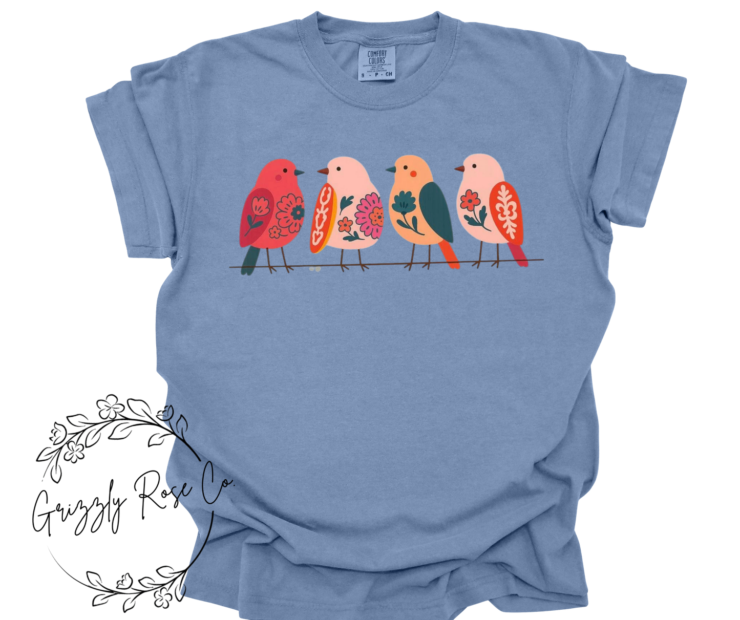 Gossip Birds Comfort Colors Graphic Tee