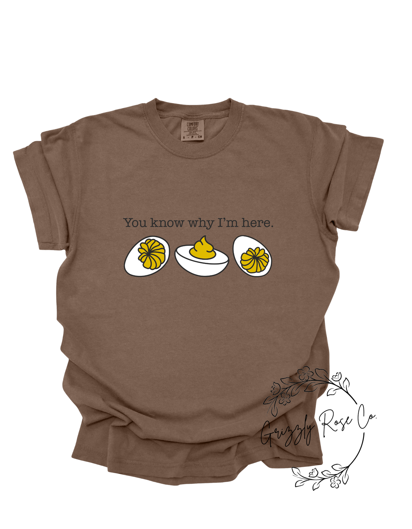 You Know Why I'm Here Comfort Colors Graphic Tee