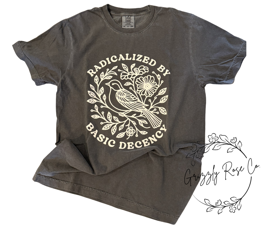 Radicalized by Basic Decency Comfort Colors Tee