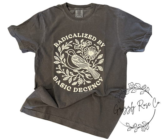 Radicalized by Basic Decency Comfort Colors Tee