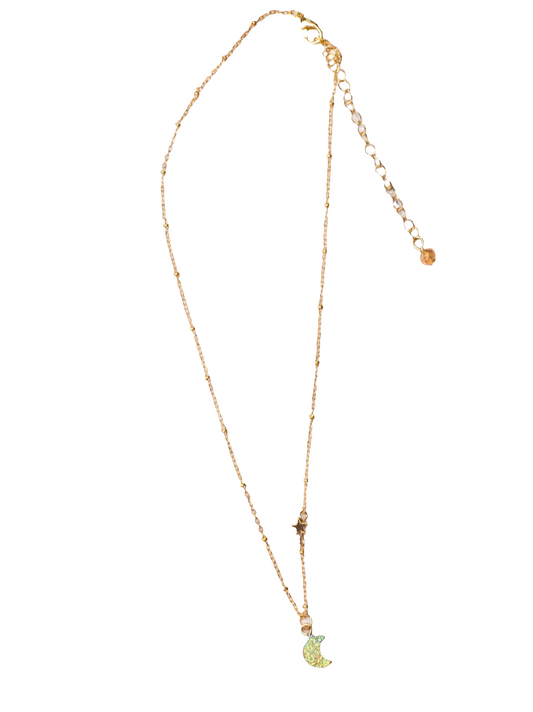 Talking to the Moon Necklace