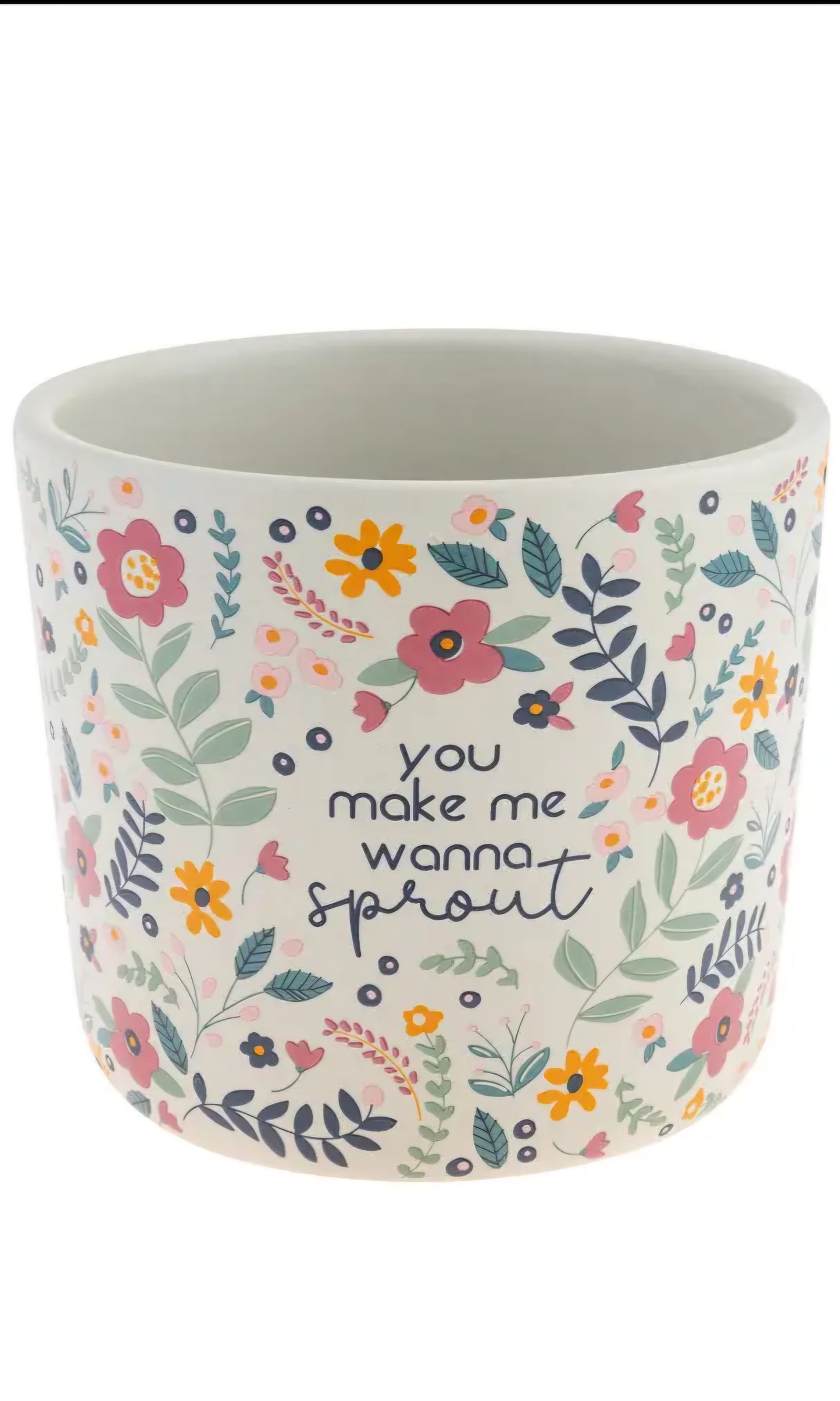 Ceramic Pots