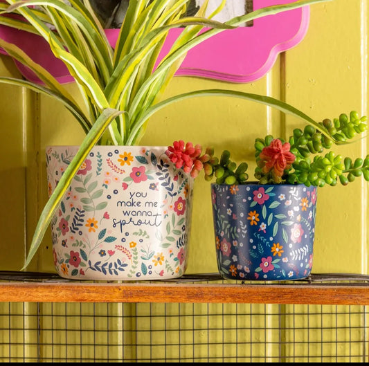 Ceramic Pots